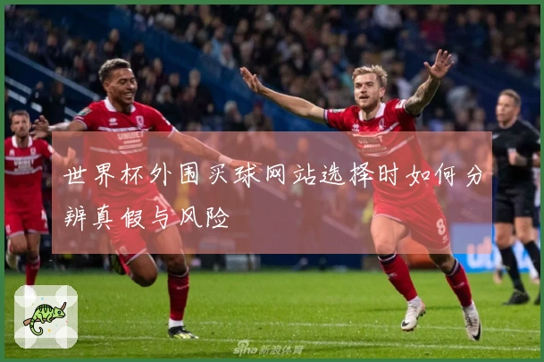 世界杯外围买球网站选择时如何分辨真假与风险