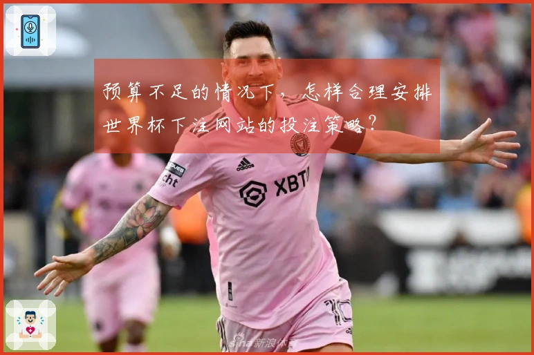 预算不足的情况下，怎样合理安排世界杯下注网站的投注策略？