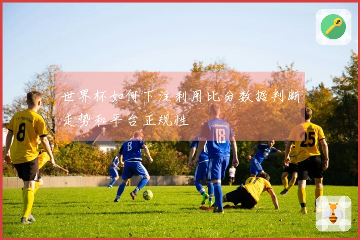 世界杯如何下注利用比分数据判断走势和平台正规性