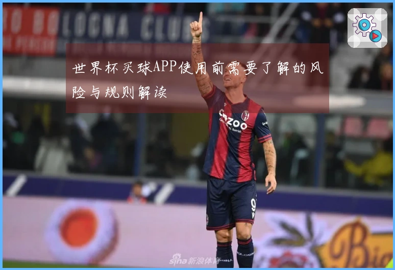 世界杯买球APP使用前需要了解的风险与规则解读