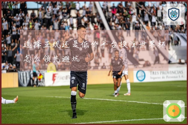 选择正规还是低价平台投注世界杯怎么领先避坑