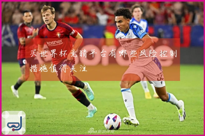 买世界杯竞猜平台有哪些风险控制措施值得关注
