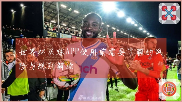 世界杯买球APP使用前需要了解的风险与规则解读