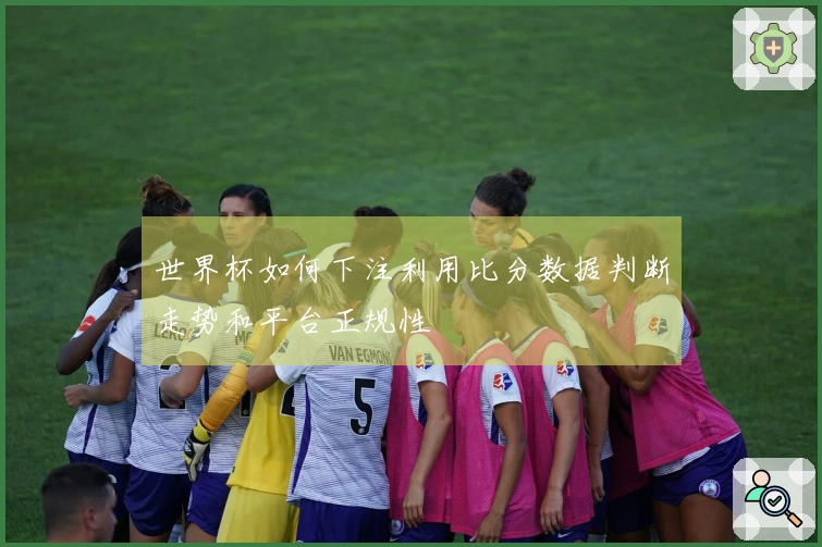 世界杯如何下注利用比分数据判断走势和平台正规性
