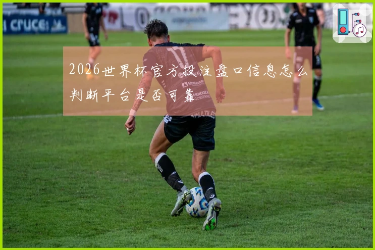 2026世界杯官方投注盘口信息怎么判断平台是否可靠